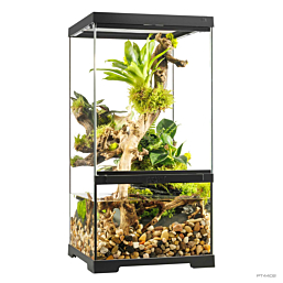 Klaasist terraarium Exo-Terra Pro Paludarium X-Small/X-Tall 30x30x60cm