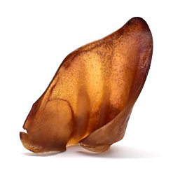 Treat for dogs Pigs Ears 1pc
