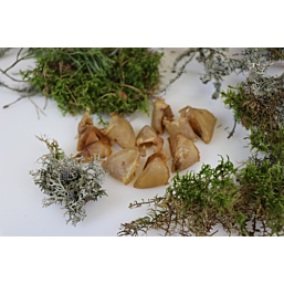 Ottomar koera maius kuivatatud seasõrg 60g