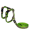 Kassi traksid+jalutusrihm Rogz Reflectocat Lime 1,8m/24-40cm