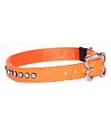 Rogz Lapz 16mm Medium Luna Pin Buckle Dog Collar, Orange