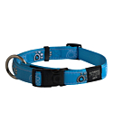 Ошейник Rogz Fancy Dress XL 25mm Armed Response, узор Turquoise Paw
