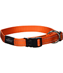 Kaelarihm Rogz Fanbelt 20mm/34-56cm oranž