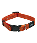 Kaelarihm Rogz Nitelife 11mm/20-31cm oranž