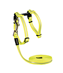 Traksid kassidele rihmaga AlleyCat Dayglo 24-40cm/1.8m
