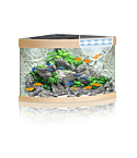 Akvaarium Trigon LED 190 L hele puit