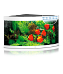 Aquarium Trigon LED 350 L white