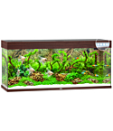 Aquarium Rio LED 240 L dark wood