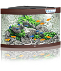 Aquarium Trigon LED 190 L dark wood