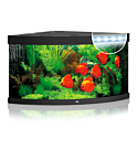 Aquarium Trigon LED 350 L black