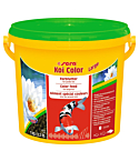 Sera Koi Color Large 3.8L/980g