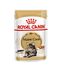 Royal Canin Maine Coon 85 g kassikonserv