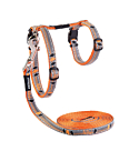 Kassi traksid+jalutusrihm Rogz NightCat oranž Birds On Wire 24-40cm/1,8m
