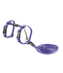 Kassi traksid+jalutusrihm Rogz AlleyCat XS lilla
