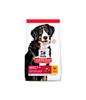 Hills koera täissööt suur tõug kana 18kg