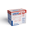 Bioiberica condrovet puppies tbl n120