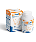 Bioiberica prolivet large dogs tbl n30