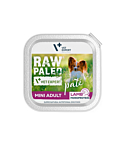 Raw paleo koera mini lambapasteet 150g