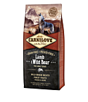 Carnilove Lamb & Wild Boar for Adult koeratoit 12 kg
