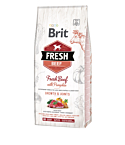 Brit Fresh Beef & Pumpkin Puppy Large Bones & Joints koeratoit 12 kg