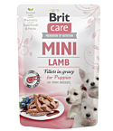 Brit Care Mini pouch Lamb fillets in gravy einekotike kutsikatele 85g