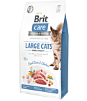 Brit Care Cat Grain-Free Large Cats Power Vitality kassitoit 7 kg