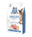 Brit Care Cat Grain-Free Large Cats Power Vitality kassitoit 2 kg