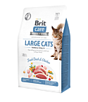 Brit Care Cat Grain-Free Large Cats Power Vitality kassitoit 0,4 kg