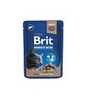 Brit Premium Liver märgtoit steriliseeritud kassidele 100g