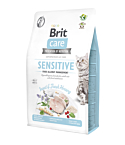 Brit Care Cat Grain-Free Insect & Fresh Herring kassitoit 2 kg