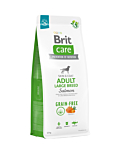 Brit Care Grain-Free Adult Large Breed Salmon koeratoit 12kg