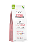Brit Care Sustainable Insect & Fish koeratoit 12kg