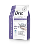 Brit Veterinary Diet Gastrointestinal - Low Fat erisööt kassidele 2kg