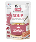 Brit Care Soup with Salmon lõhesupp kassidele 75g