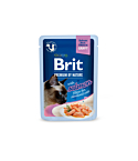 Brit Premium Delicate Salmon Fillets in Gravy märgtoit steriliseeritud kassidele 85g