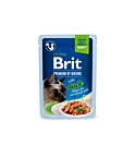 Brit Premium Delicate Duck Fillets in Gravy märgtoit steriliseeritud kassidele 85g