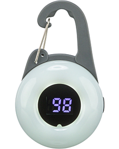 Мигающий фонарь USB Flasher 4 x 6.5 cm