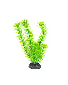 Plastist taim M004 30cm