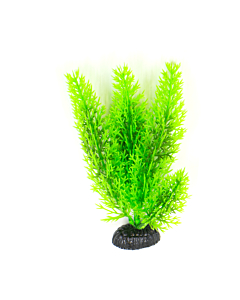Plastist taim M007 30cm