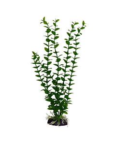 Plastist taim M017 30cm