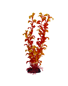 Plastist taim M026 30cm