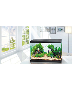 Aquarium WONDER PALACE WP80 75,7L 614x322x422mm