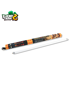 Террариумная лампа Lucky Herp T5 8W UVB10.0