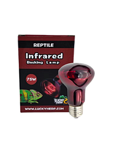 Террариумная лампа Lucky Herp Basking Infrared R80 75W