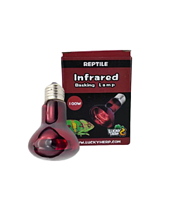 Terraariumi lamp Lucky Herp Basking Infrared R80 100W