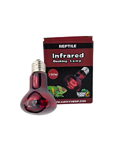 Terraariumi lamp Lucky Herp Basking Infrared R95 150W