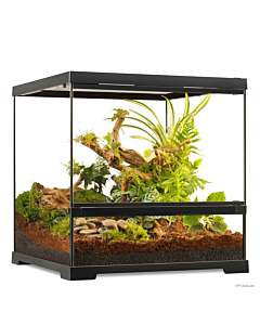 Стеклянный террариум Exo-Terra Pro Small Wide - 45 х 45 х 45 см