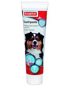 BE-Toothpaste - hambapasta 100g