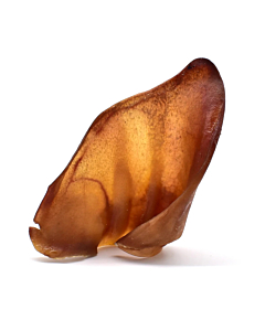 Koera maius Sea kõrvad  1tk