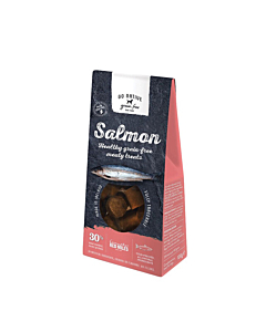 Go native koera maius lõhe 100g